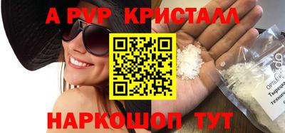 гашик Кингисепп