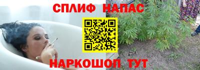 spice Кимры