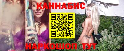 гашик Кингисепп