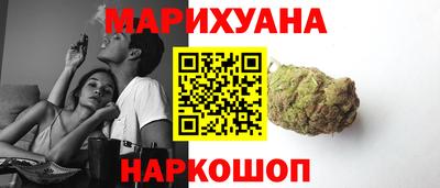 гашик Кингисепп