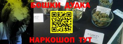 гашик Кингисепп