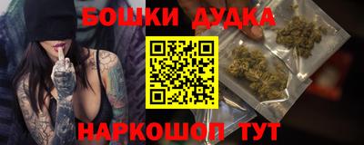 гашик Кингисепп