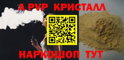 гашик Кингисепп