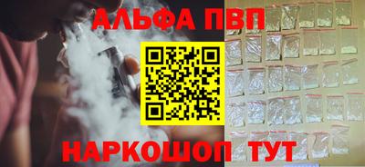 гашик Кингисепп