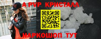 гашик Кингисепп