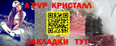 гашик Кингисепп