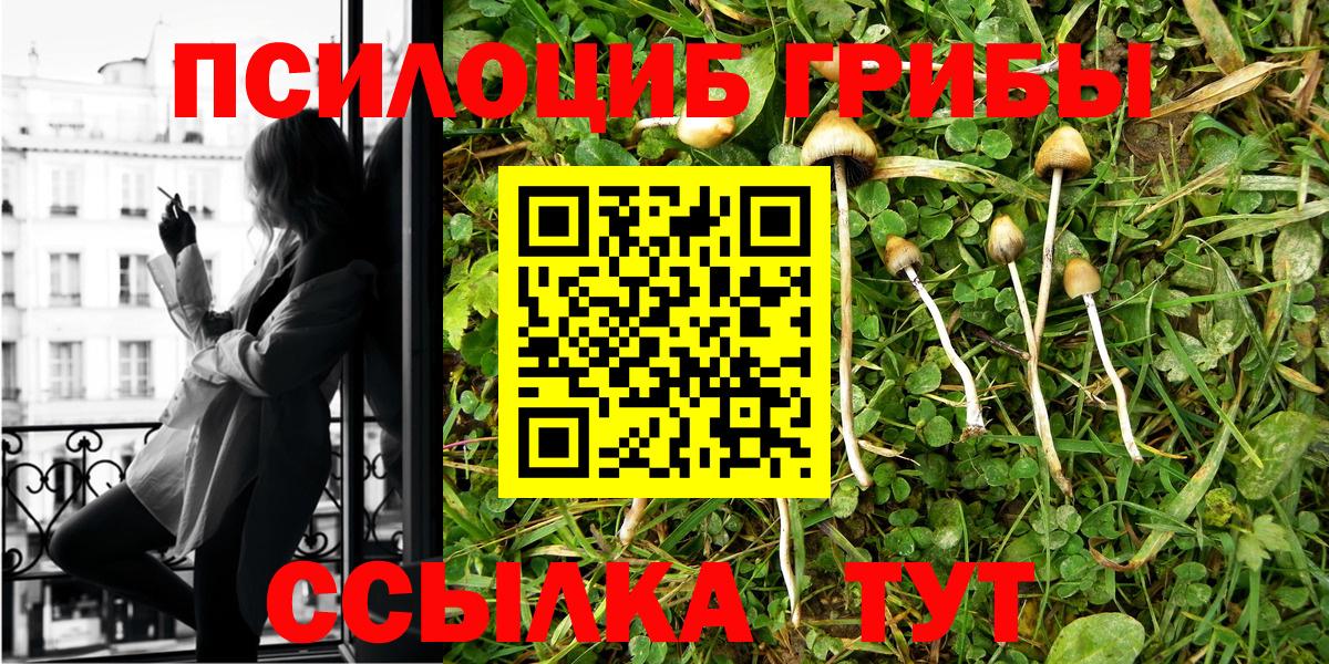 Волхов  Галлюциногенные грибы Cubensis  где продают наркотики  Псилоцибиновые грибы ЛСД  Вход с VPN 